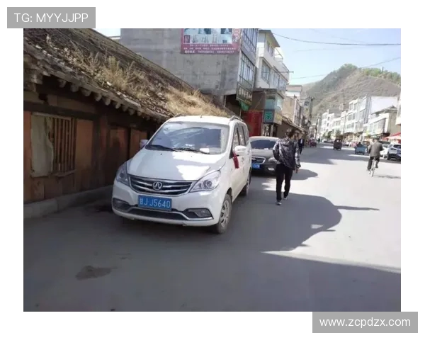 威廉斯兄弟坚决否认涉嫌非法占用车辆行为并表达强烈反驳 威廉斯兄弟坚决否认涉嫌非法占用车辆行为并表达强烈反驳